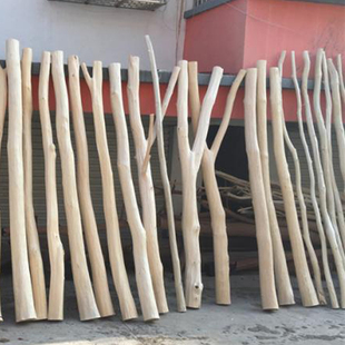 天然原木干树枝装饰枯木客厅玄关橱窗干枝树干隔断屏风幼儿园环创