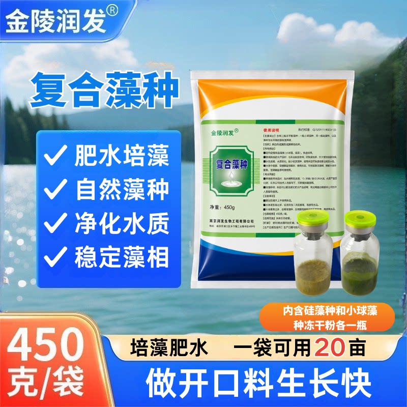 金陵润发复合藻种肥水培藻