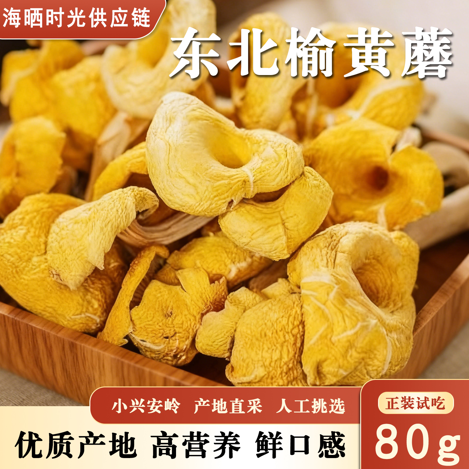 东北非特级新货榆黄蘑新鲜干货无添加黄金菇黄蘑菇精选煲汤食用菌