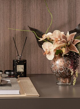 中古风复古摄影道具装件相机摆饰品亚克力样尘罩家居防板间高级感