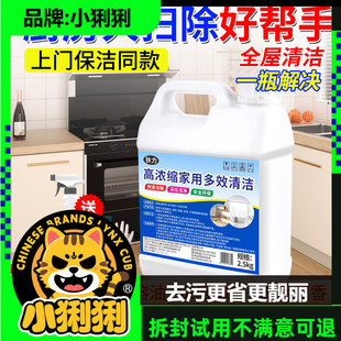 大扫除清洁剂家庭用搞卫生打扫厨房油烟去油污清洁剂