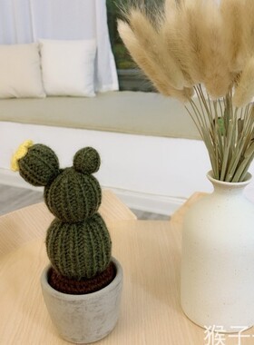 纯手工编织公人掌植物摆件风可仙小清新办爱桌针织小盆栽成品