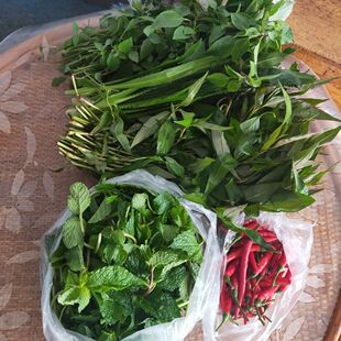 云南德宏芒市傣味调料 煮鱼 撒撇 舂鸡爪配料芫荽小米辣金芥香柳