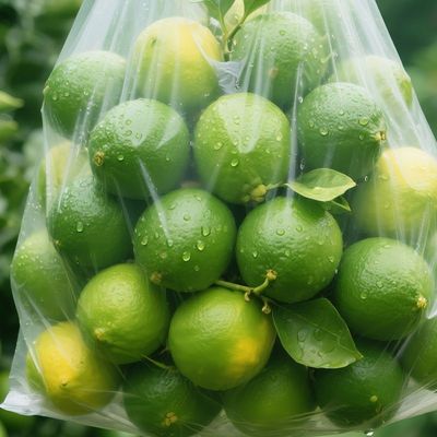 越南青柠檬小柠檬云南酸柠檬