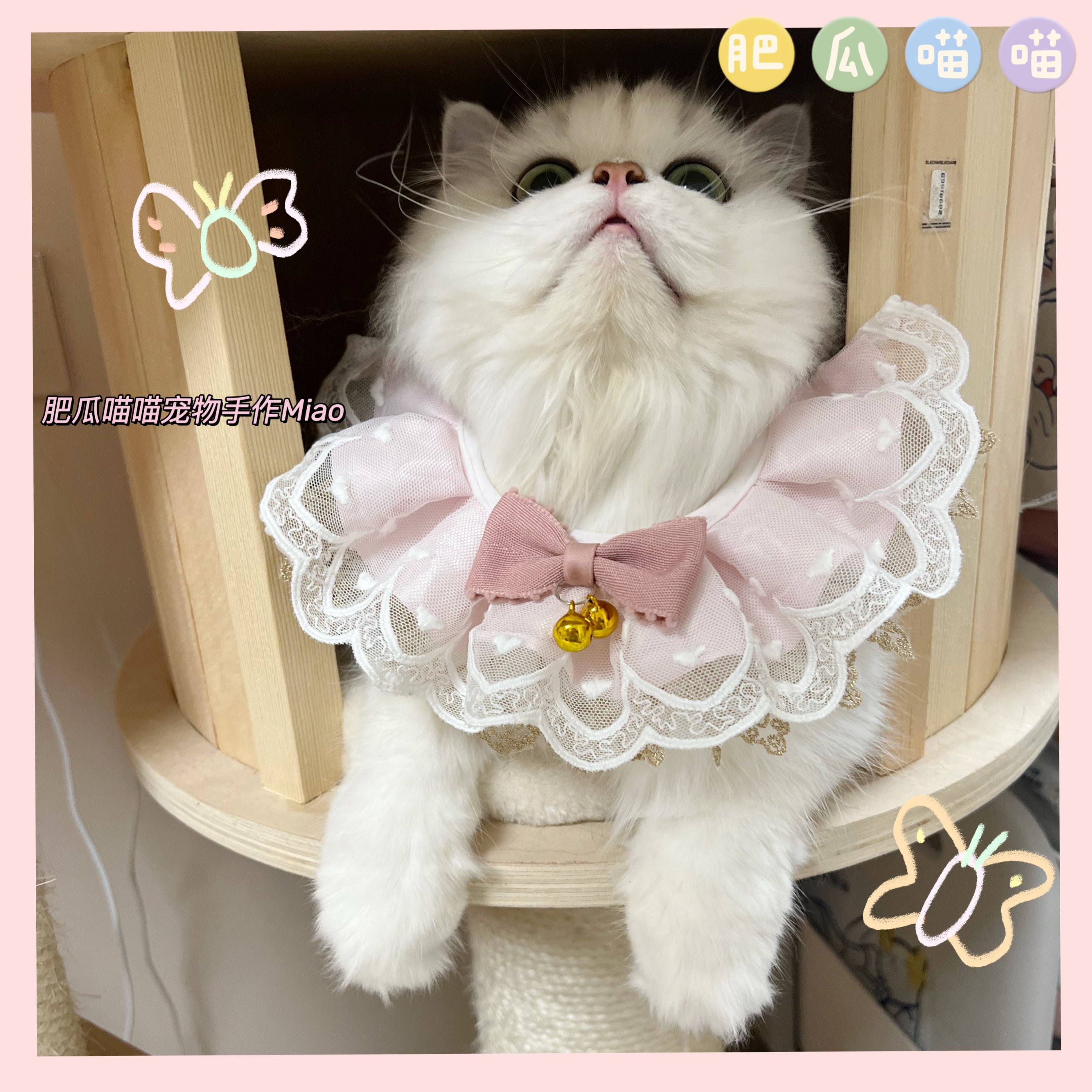 可爱网纱花边猫咪围脖蝴蝶结可爱狗狗宠物项圈布偶博美手工口水巾
