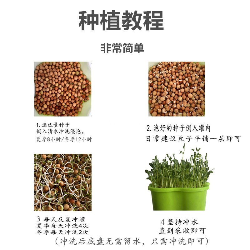 鹦鹉鸟食天然新鲜水培麻豌豆芽苗大麦苗种发芽粮啃咬蔬菜补维生素