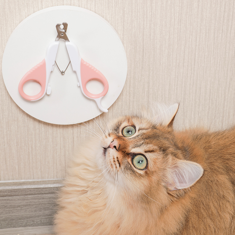 不劈指甲 猫用指甲剪指甲刀幼猫新手猫爪指甲钳猫咪宠物用品