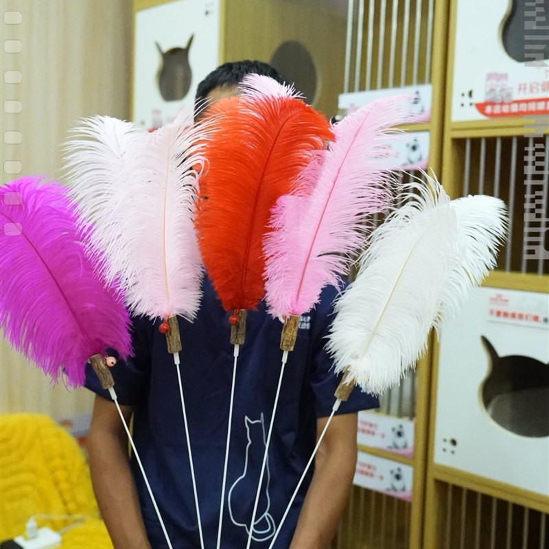 呵护星球猫咪赛级长杆逗猫棒原木手柄原生羽毛宠物玩具 猫咪解闷