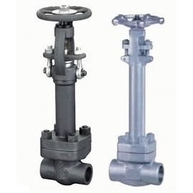 DZ61/41 锻钢低温闸阀