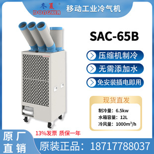 65B商用制冷机工厂网吧健身房 冬夏大型冷气机岗位移动空调SAC