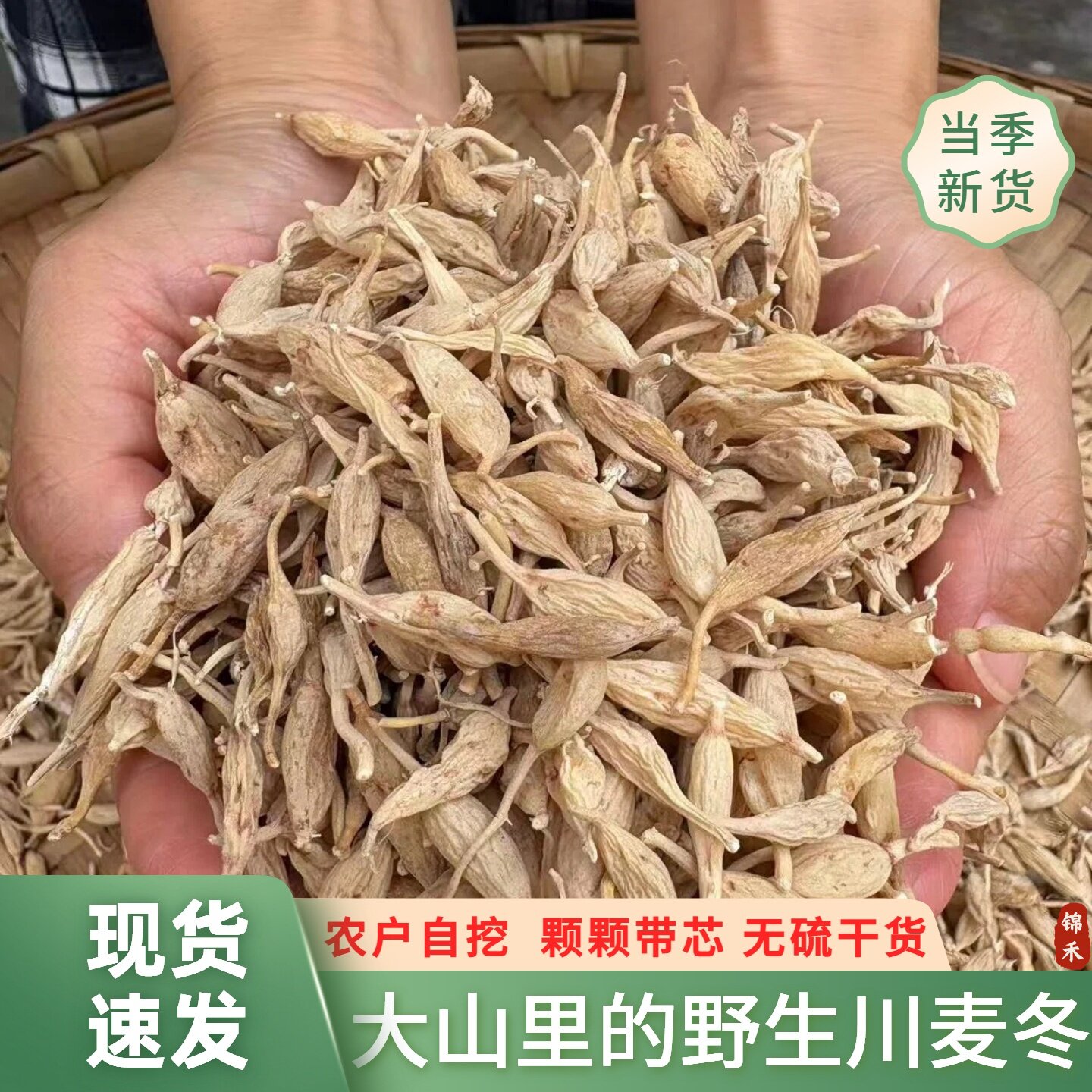 野生川麦冬滋补养生泡水煲汤
