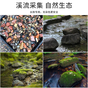 南美鱼缸造景沙红色雨林砂鼠鱼七彩埃及雷龙天然原生态溪流红棕沙