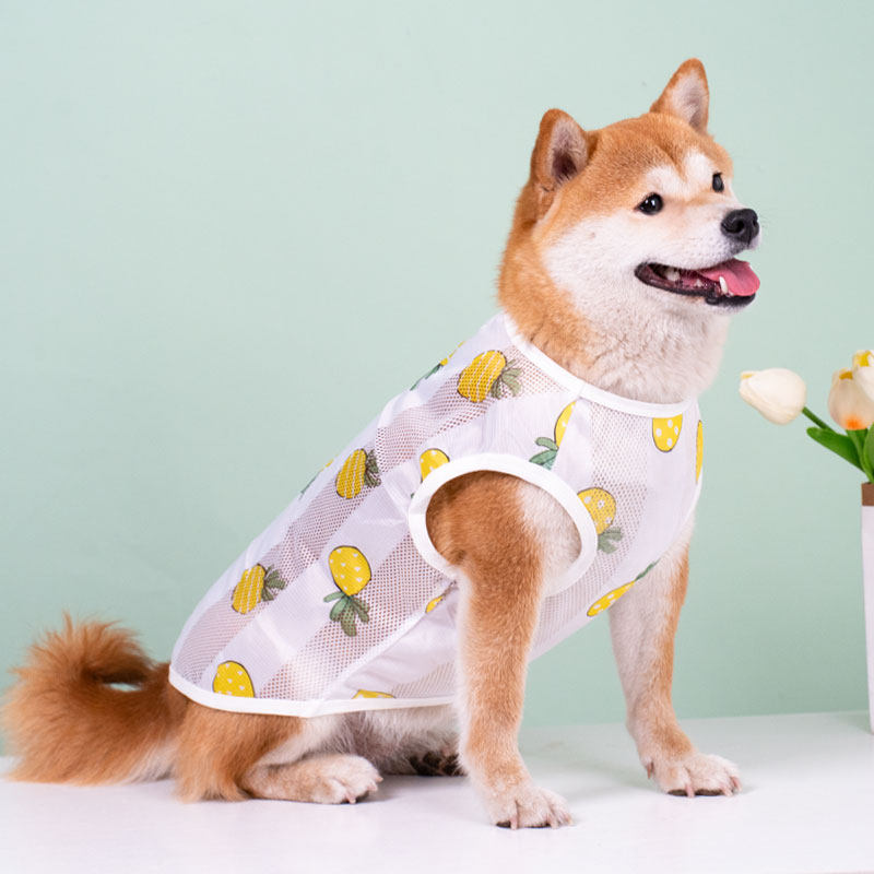 狗狗衣服夏季防晒衣薄款透气背心狗宠物服装/雨衣
