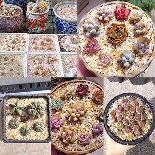 画法几何鱼缸原生底砂天然水晶砂南美河砂造景砂彩石水族箱水草沙