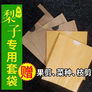 梨子套袋梨用袋水果果树袋子黄金丰晚秋黄梨秋月梨专水梨纸袋果袋