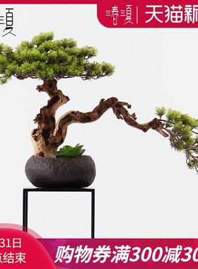 新中式仿真迎客松会所售楼处茶室茶楼装饰品日式枯树盆景摆件