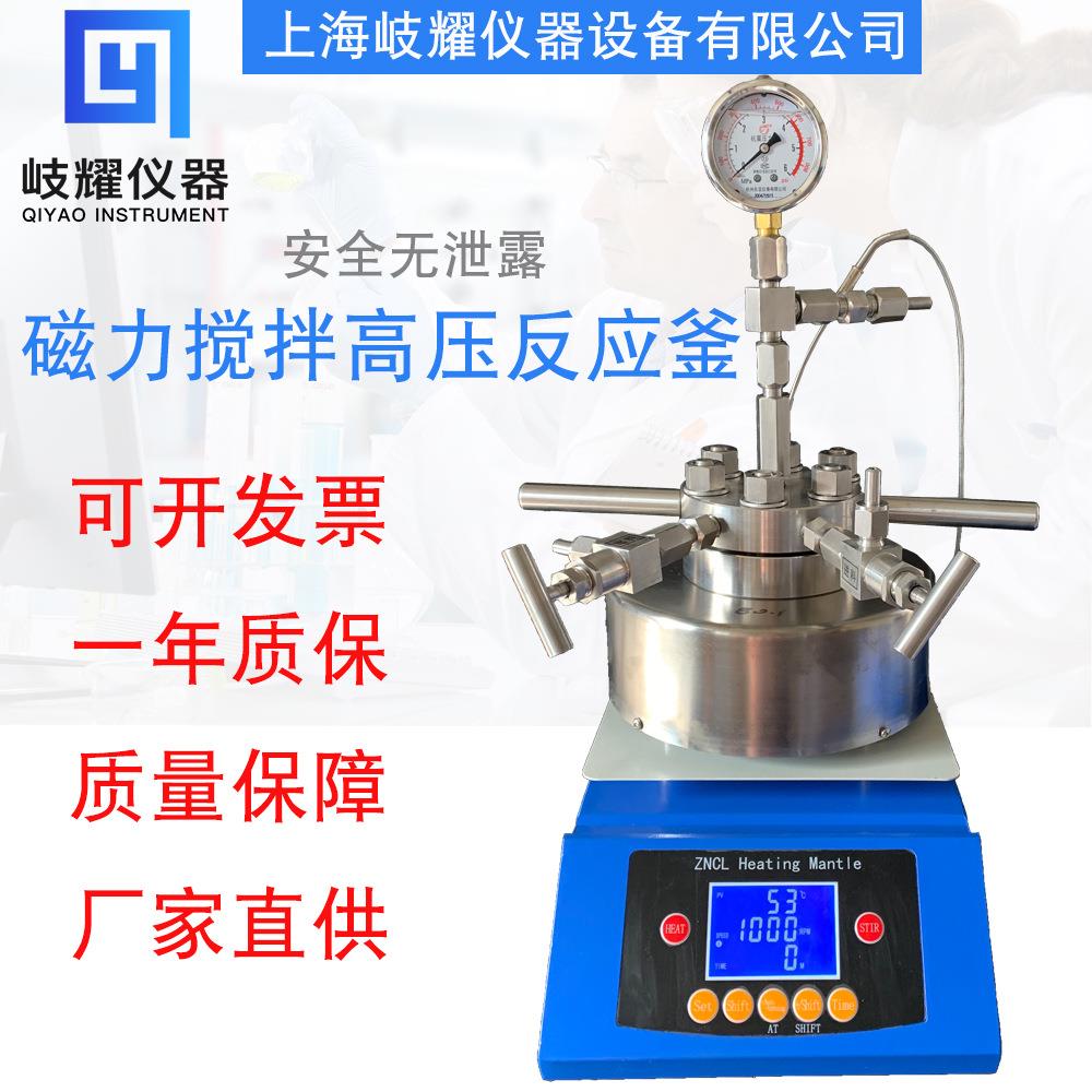 台式氢化釜磁力搅拌微型高压反应釜25ml50ml惰性气体氢化釜化学釜