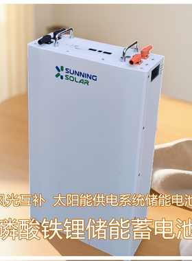 48V200AH家用壁挂式太阳能光伏家庭储能锂电池磷酸铁锂储能备电池