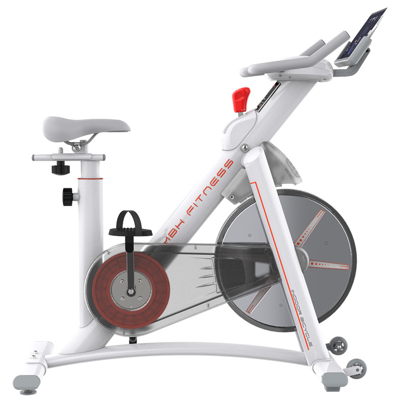 迈宝赫动感单车家用磁控静音健身车有氧室内脚踏自行车M5819