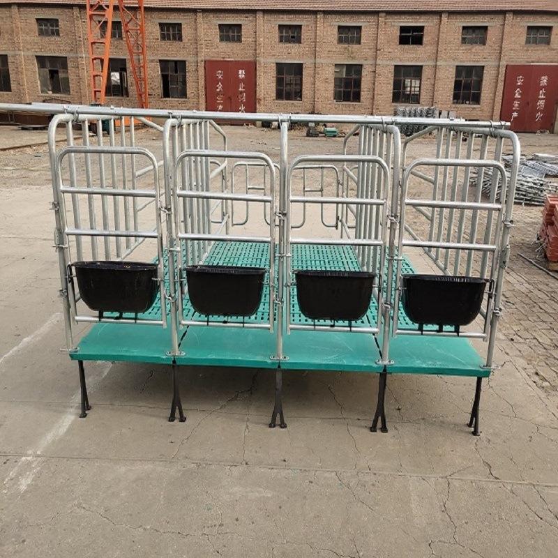 厂家定制热镀锌加厚猪围栏定位栏养殖场用母猪产床保育床限位栏