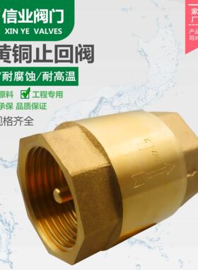 全铜止回阀单向阀黄铜逆止阀水表止逆阀水泵防倒流阀门水管逆水阀