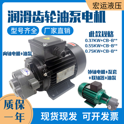 CB-B6/B10/B4/B2.5齿轮泵液压油泵电机组370W/550W润滑油泵头总成