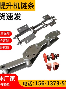 斗式提升机链条NE15NE30NE50提升机链条斗提机料斗工业传动板式链