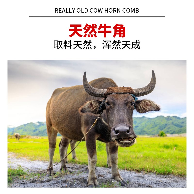 天然白水牛角梳头部经络八爪章鱼按摩梳头疗头皮宽齿防静电梳子