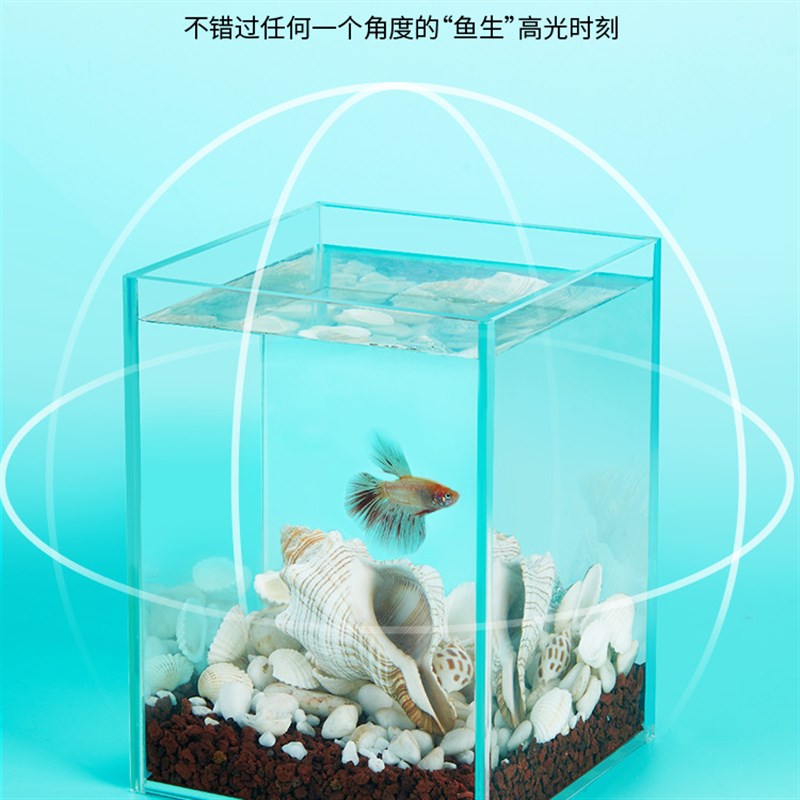 斗鱼缸超白玻璃鱼缸网红斗鱼鱼缸桌面造景摆件迷你小型鱼缸