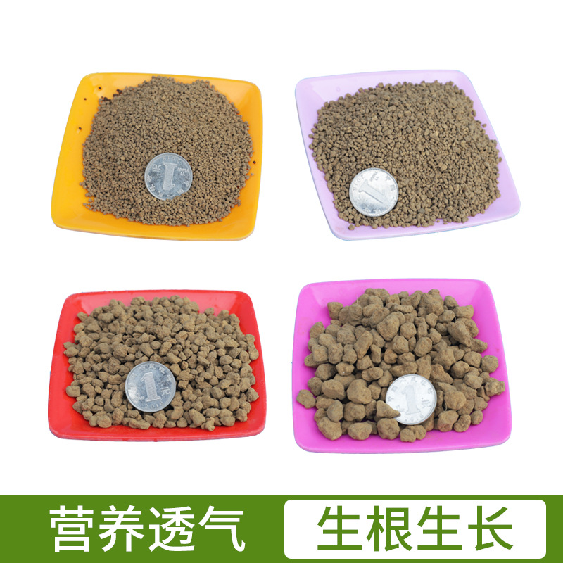 日本进口三本线硬质赤玉土颗粒火山土多肉块根兰花盆景鋪面土透气