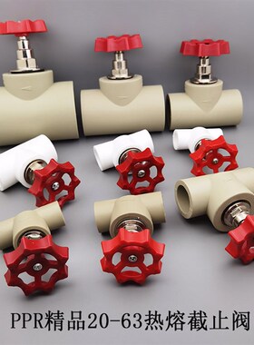 包邮PPR升降式卡簧截止阀4分6分1寸 白色灰色PPR水管配件阀门开关
