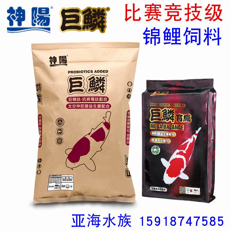 神阳巨鳞锦鲤饲料育成增体增色锦鲤达人红白三色骨霸2kg10kg15kg