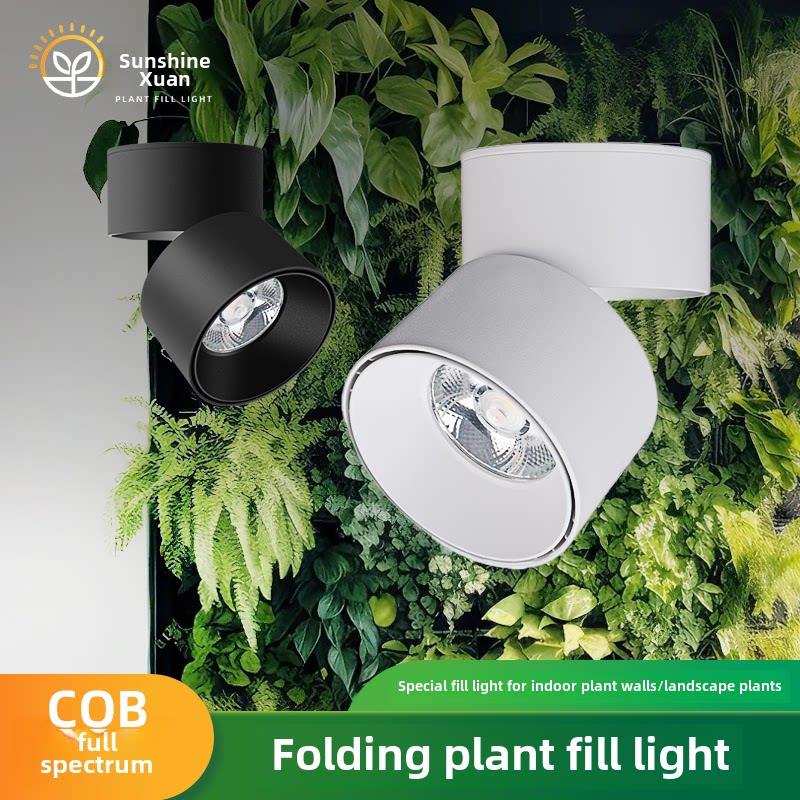 室内绿色植物墙表面安装可折叠Led射灯家用多肉着色全光谱植物生