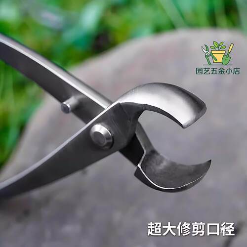 修枝剪球节剪盆景工具斜口剪叉枝剪树瘤树节球形钳盆景造型叶芽剪