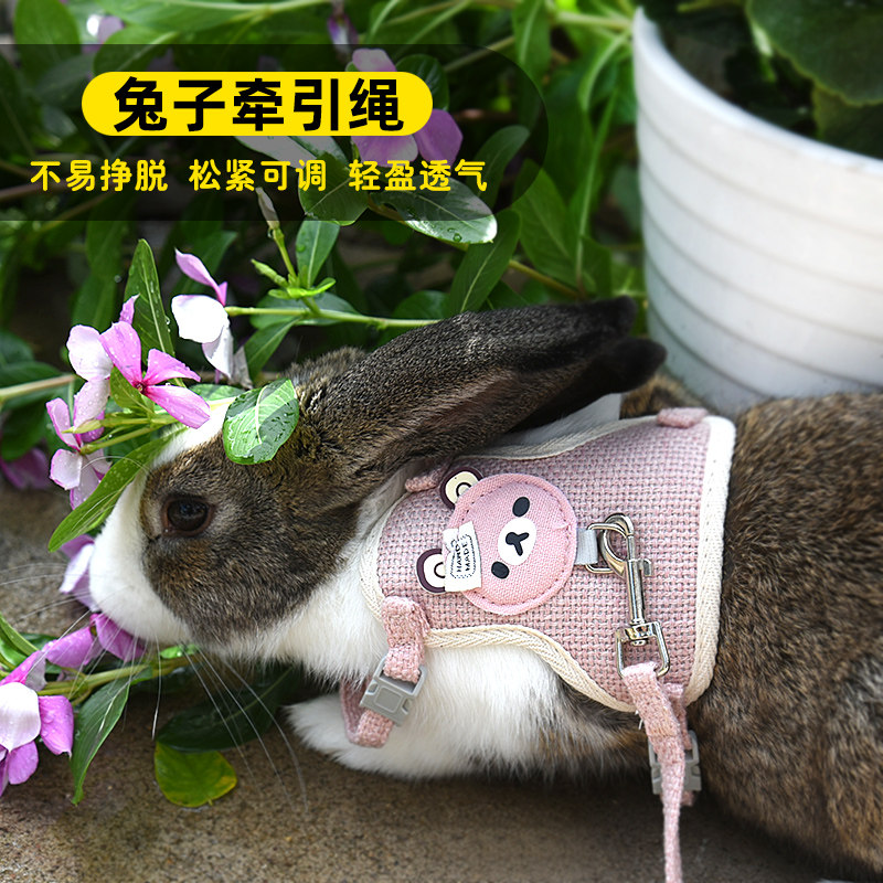 小兔子牵引绳遛兔绳防挣脱兔绳可调节大小兔项圈透气舒适兔绳子,宠物/宠物食品及用品,兔绳,淘宝优惠券,粉丝福利购,淘宝优惠卷