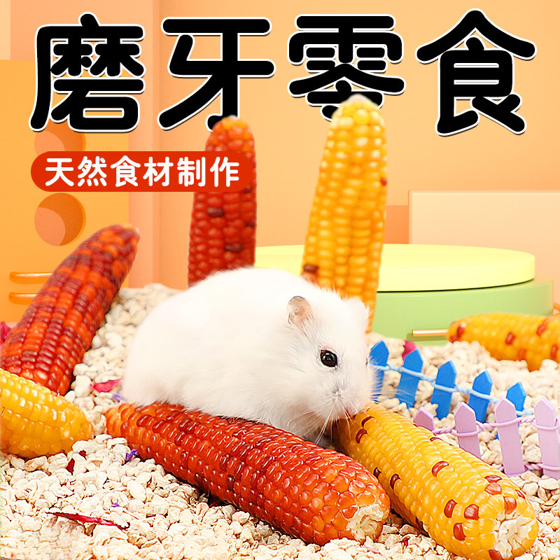冠之亚仓鼠玉米磨牙棒零食营养饲料金丝熊专用粮食玉米可食用造,宠物/宠物食品及用品,鼠类零食,淘宝优惠券,粉丝福利购,淘宝优惠卷