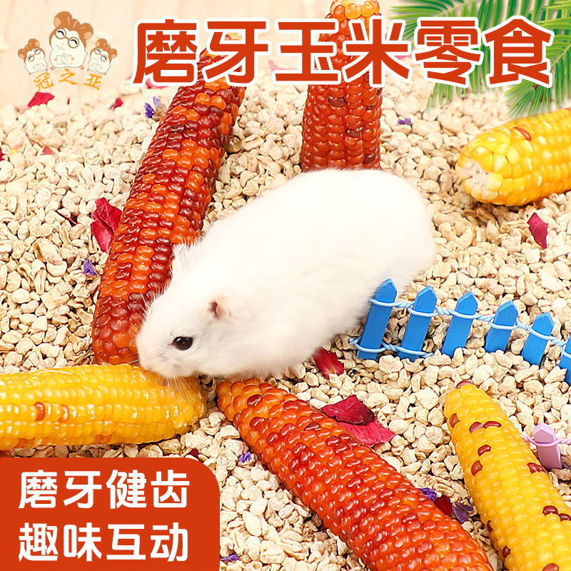 仓鼠磨牙玉米仓鼠磨牙零食磨牙棒兔子磨牙小玉米粮食用品龙猫专用,宠物/宠物食品及用品,鼠类零食,淘宝优惠券,粉丝福利购,淘宝优惠卷