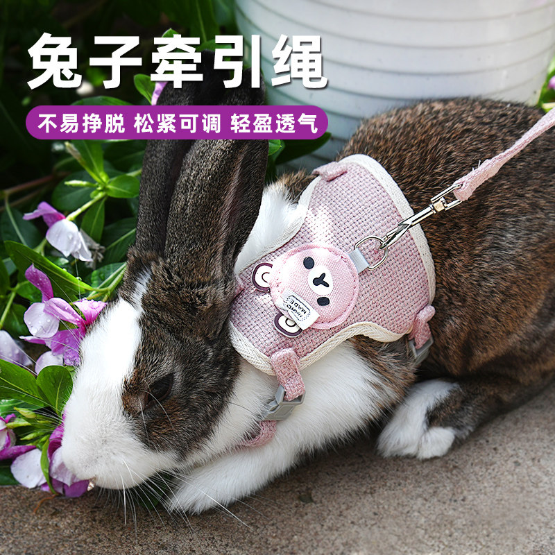 兔子牵引绳兔兔外出绳溜兔绳防挣脱可调节遛兔子绳遛猫绳宠物项圈,宠物/宠物食品及用品,兔绳,淘宝优惠券,粉丝福利购,淘宝优惠卷