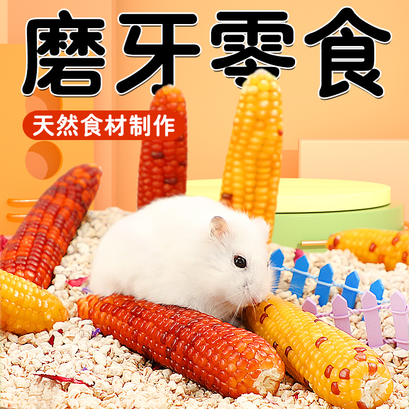 仓鼠耐咬磨牙玉米粮食磨牙棒营养粮食零食营养金丝熊玉米棒耐咬