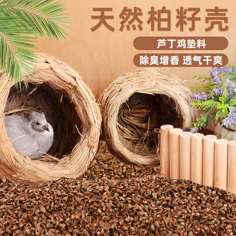 冠之亚芦丁鸡柏树壳垫料混合子除臭柏籽壳柏子壳仓鼠卢鹌鹑发酵床,宠物/宠物食品及用品,鸟禽垫料,淘宝优惠券,粉丝福利购,淘宝优惠卷