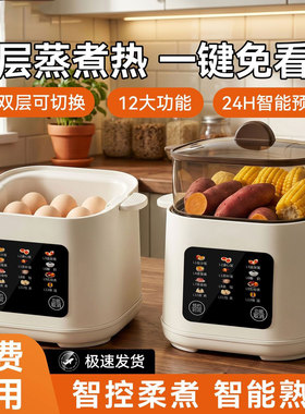 多功能蒸蛋器家用小型迷你一人自动断电可预约定时鸡蛋宿舍煮蛋器