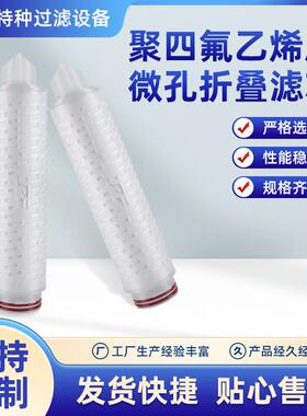 聚四氟乙烯膜微孔折叠滤芯工业精密外压式折叠滤芯