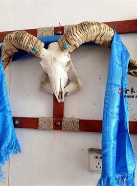 蒙古餐厅装饰木架羊头骨天然真羊头羊头骨挂饰摆件