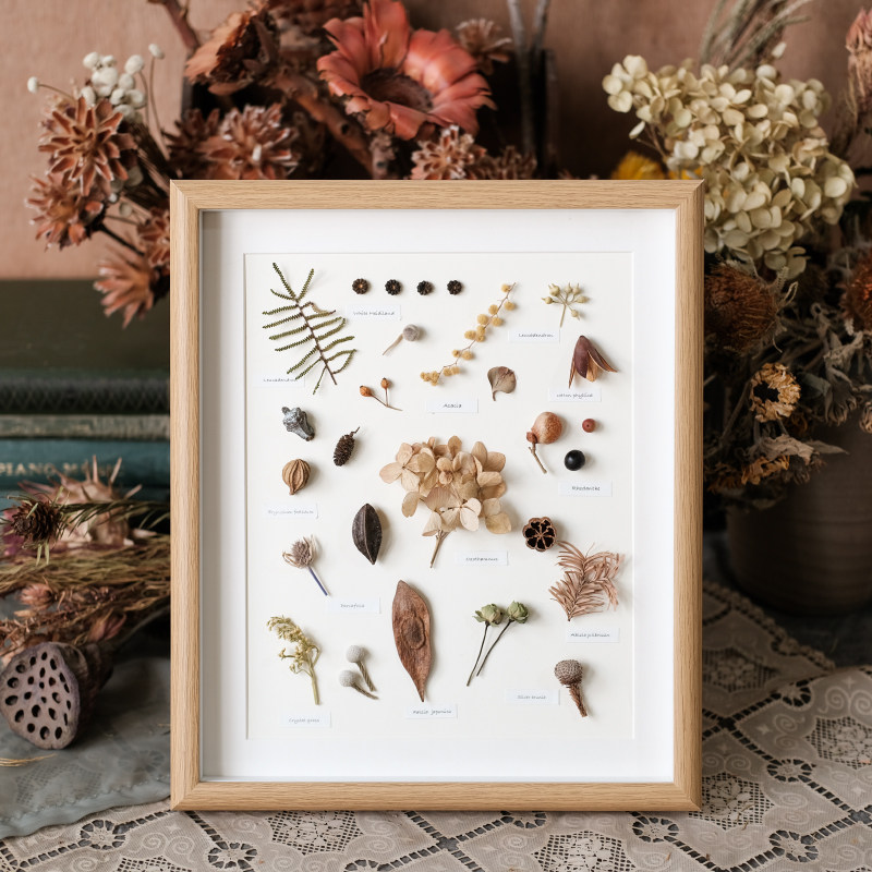 文艺植物手作标本装饰画挂画照片墙干花相框民宿家居摆件创意礼品