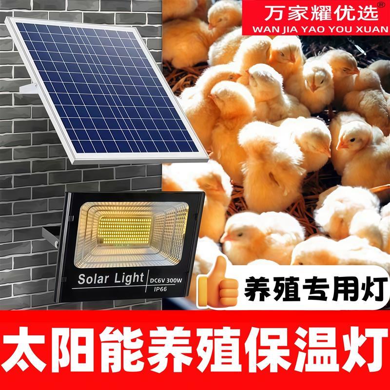 太阳能保温灯养殖场专用取暖灯冬天小鸡舍猪场鹦鹉宠物温控加热灯