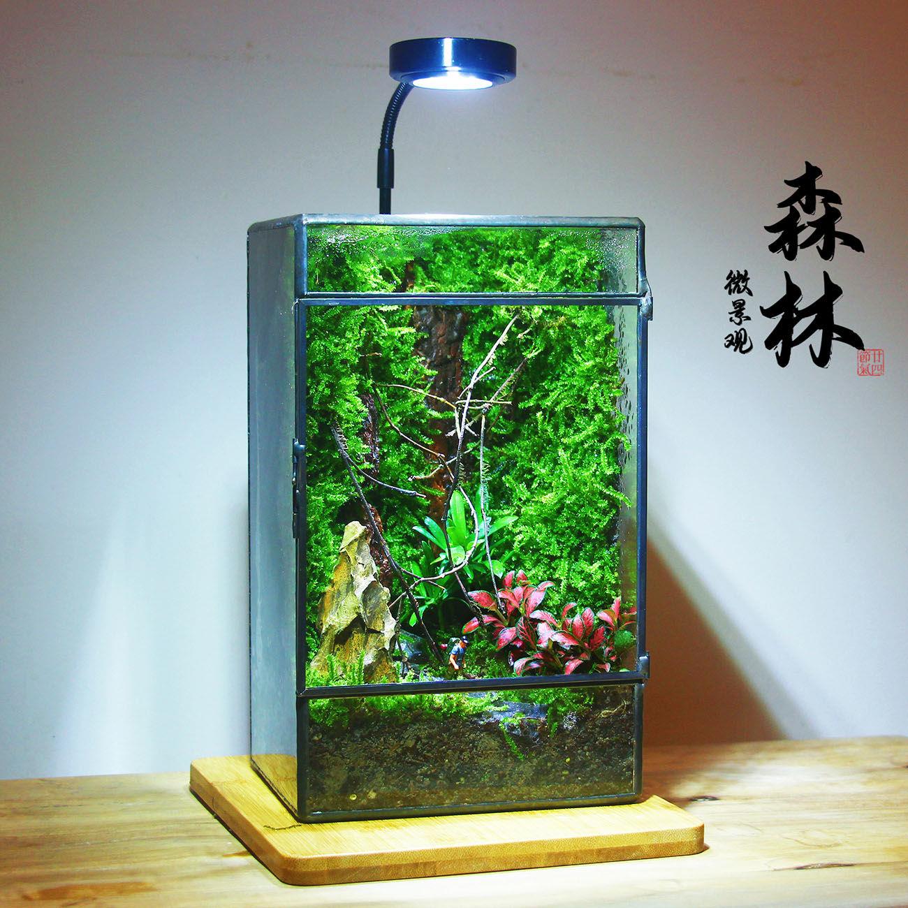 出口国外创意造景鱼缸桌面苔藓微景观成品玻璃花房流水生态缸观鱼