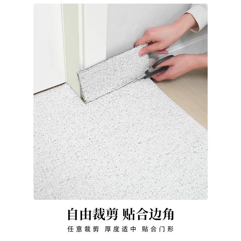入户门地垫进门家用防滑脚垫子丝圈纯色地毯门外门口2026新款定制