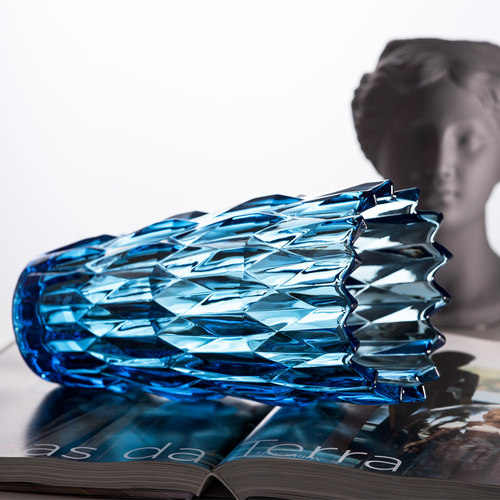 欧式玻璃花瓶富贵竹干花代花大花瓶透明花器饰插客厅餐桌装现摆件