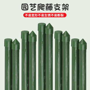 爬藤架瓜架支撑杆葡定架月季豆角黄花固萄杆植物塑钢管园艺支架