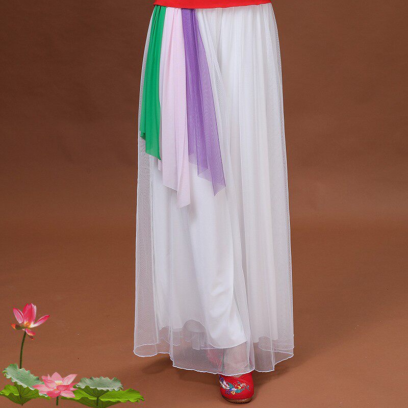 云裳广场舞服中老年阔腿裤古典练功服女大摆飘逸演出裙裤网纱裙子